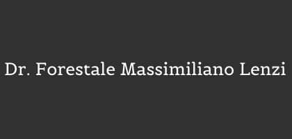 Logo Massimiliano Lenzi