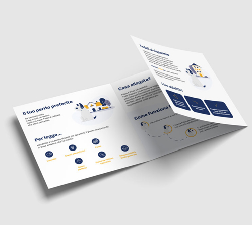Case study Fidoo